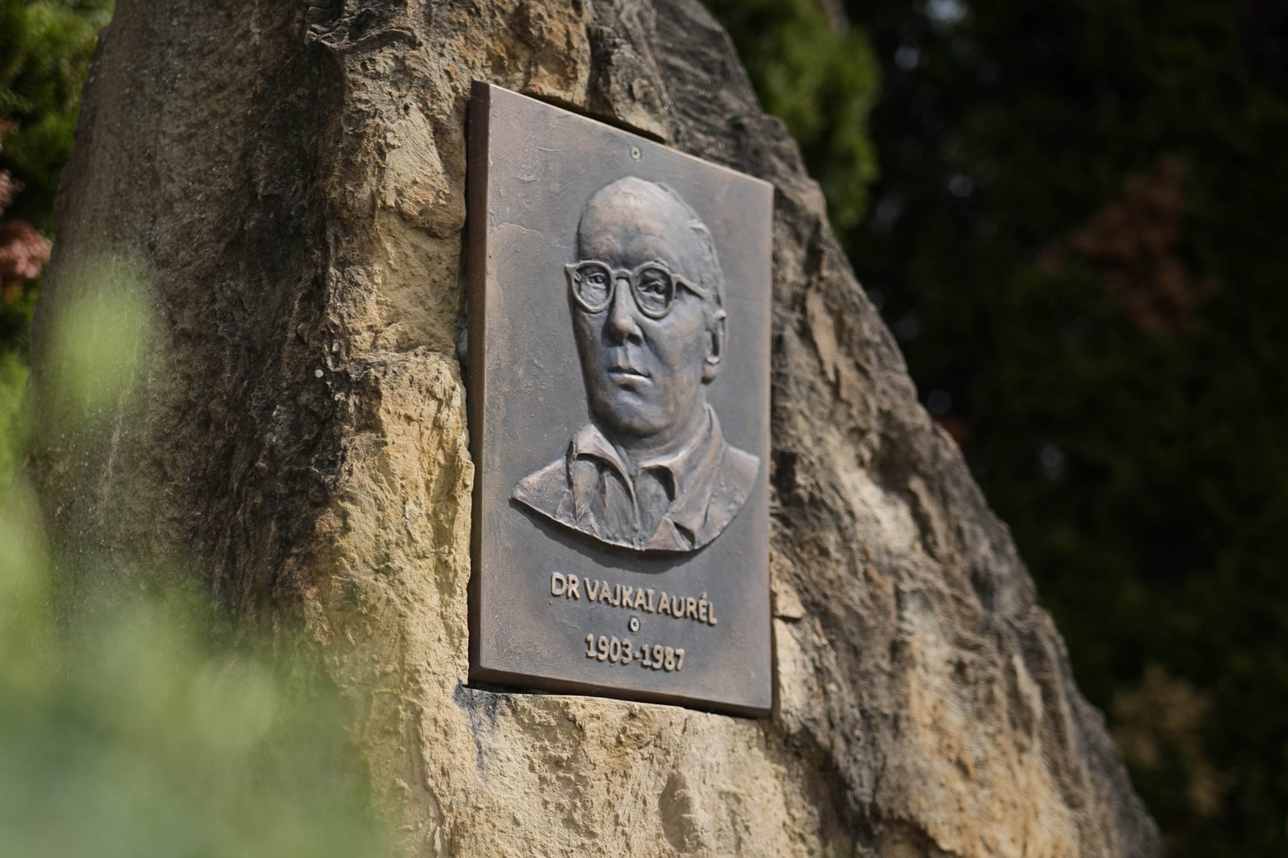 dr_vajkai_aurél_tér