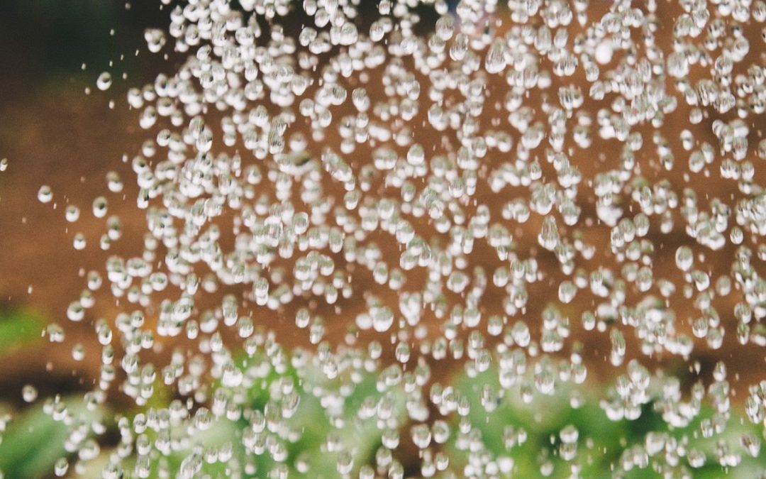 A Magyar Víziközmű Szövetség sajtóközleménye a kánikulai vízfogyasztásról