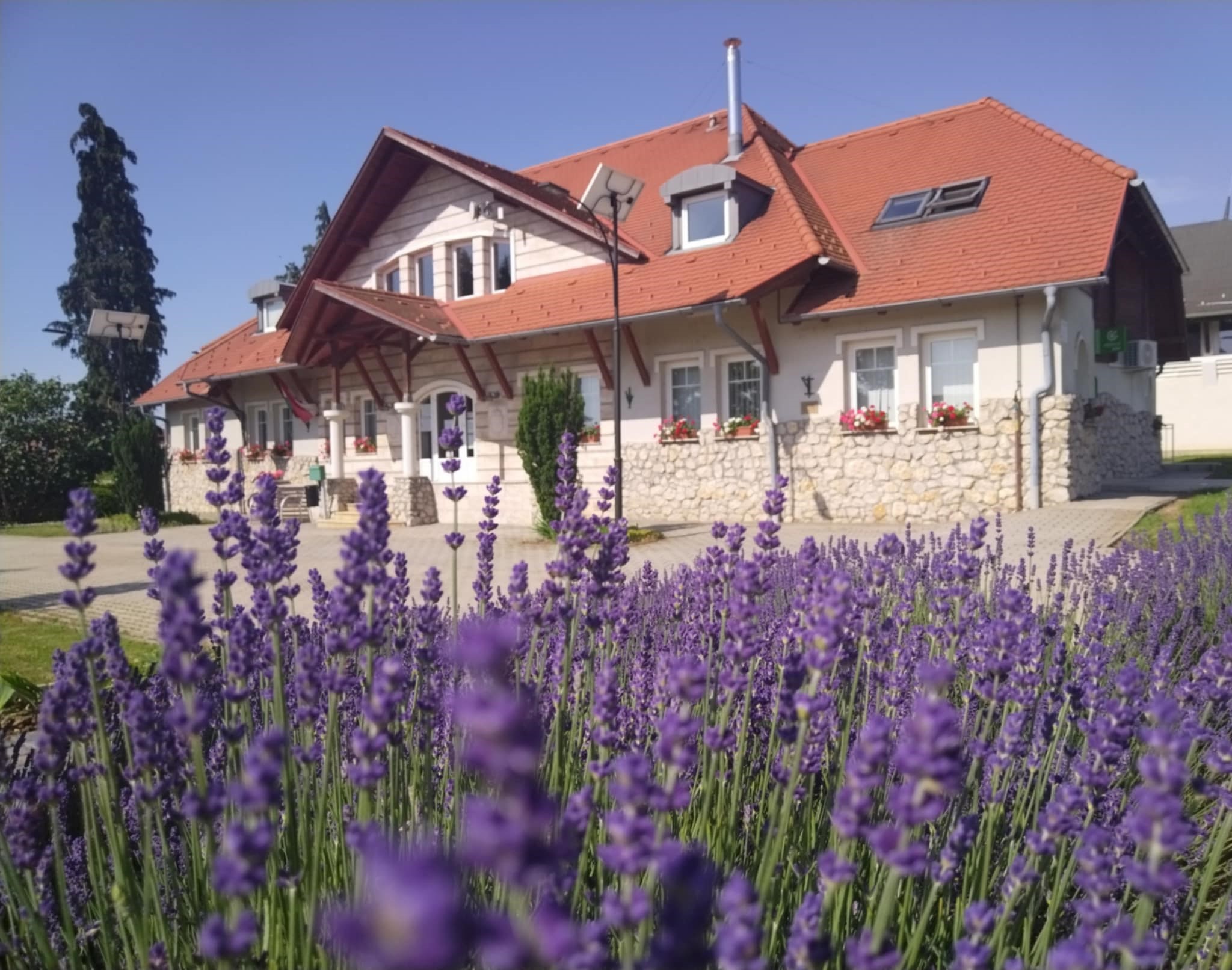 Polgármesteri Hivatal