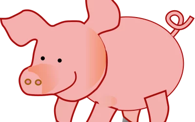 Háztáji sertésállomány felmérése