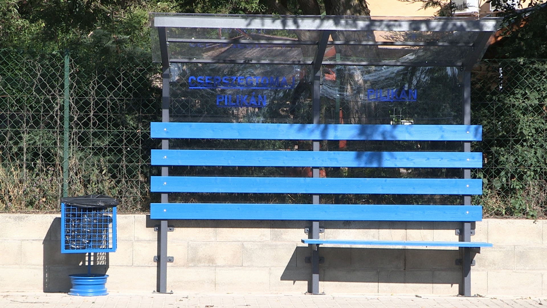 A jövõbe tekintenek