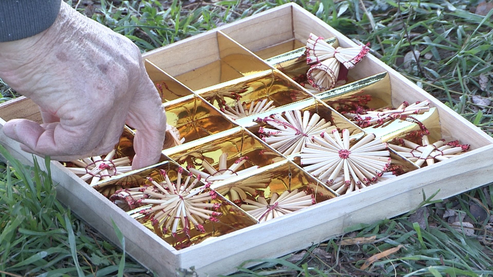 A jövõbe tekintenek